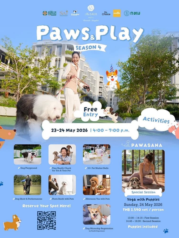 Paws & Play Season 4