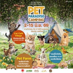 Pet Paradise @ Central Westville
