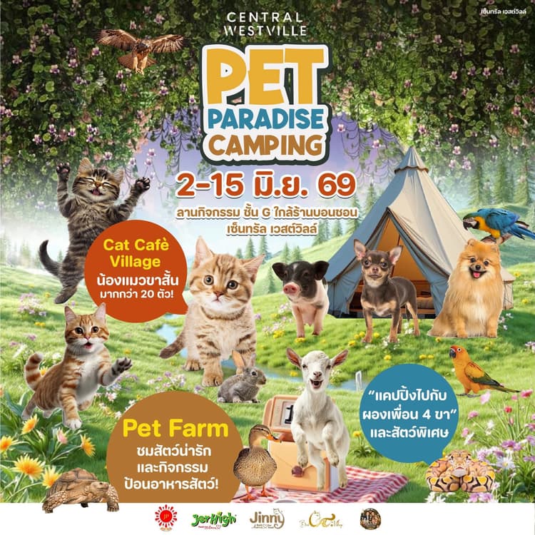 Pet Paradise @ Central Westville