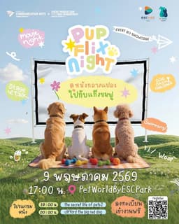 Pupfilx Night