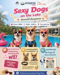 Sexy Dogs On The Lake