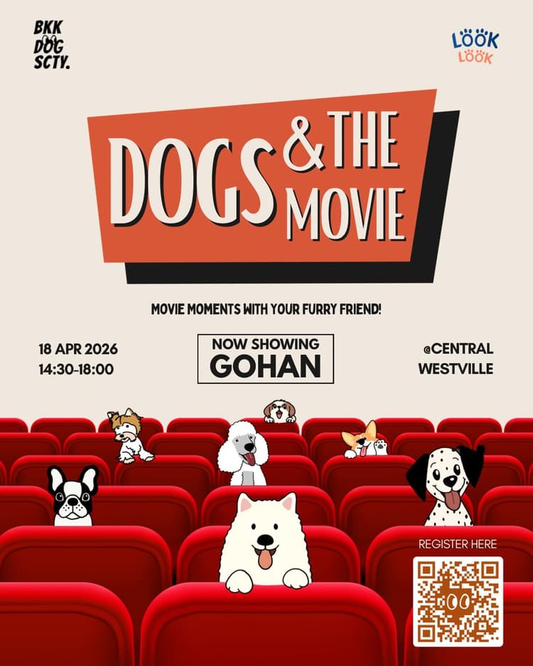Dogs & the MOVIES by BKK DOG SCTY x @looklook.pet