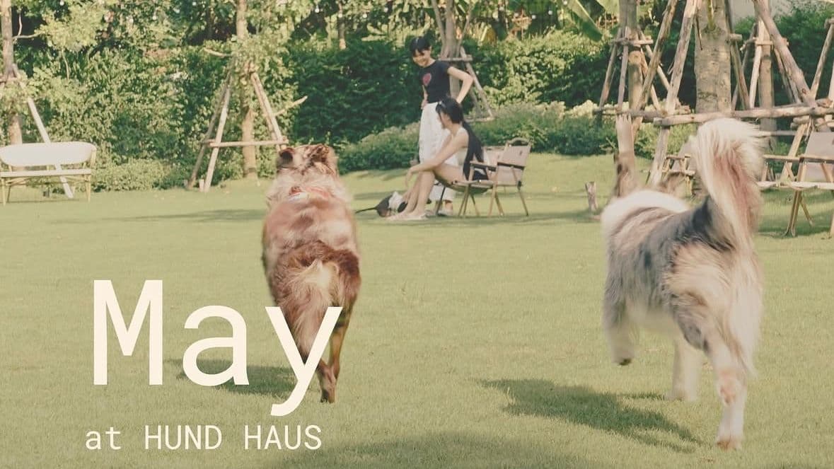 May at HUND HAUS - THE PAWNESS CLUB