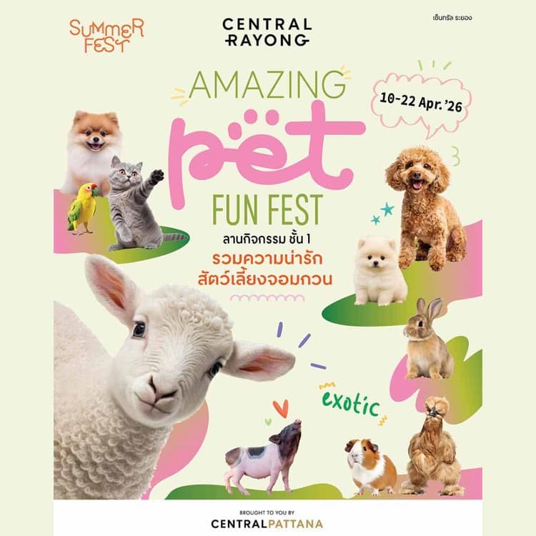 Amazing Pet Fun Fest