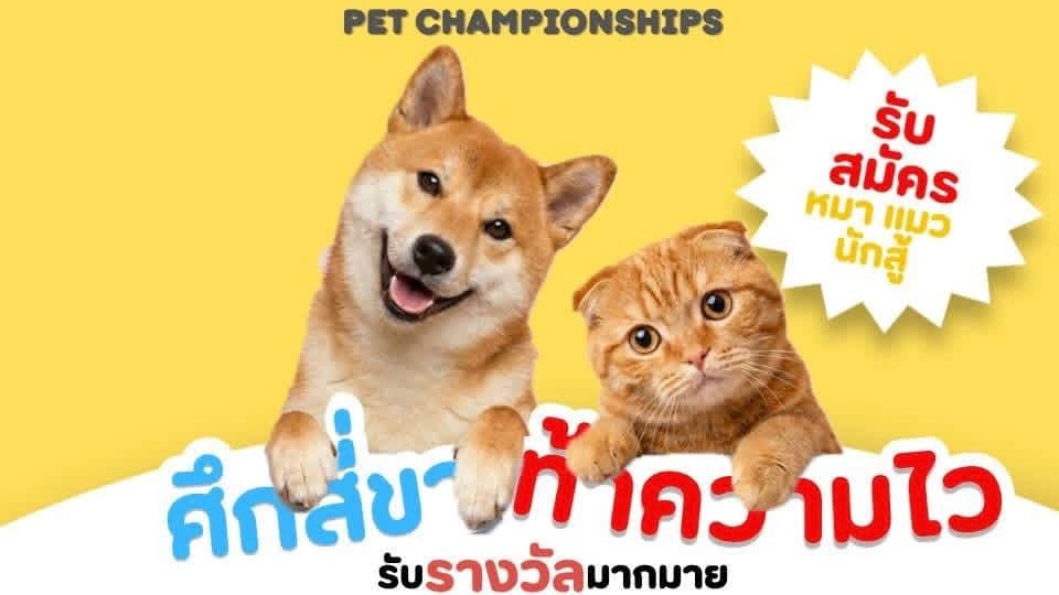KUSTO PET CHAMPIONSHIPS