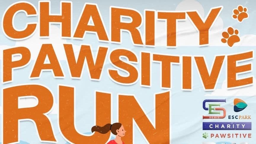 CHARITY PAWSITIVE RUN 2026