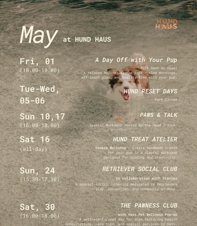 May at HUND HAUS - RETRIEVER SOCIAL CLUB (with Stanley)