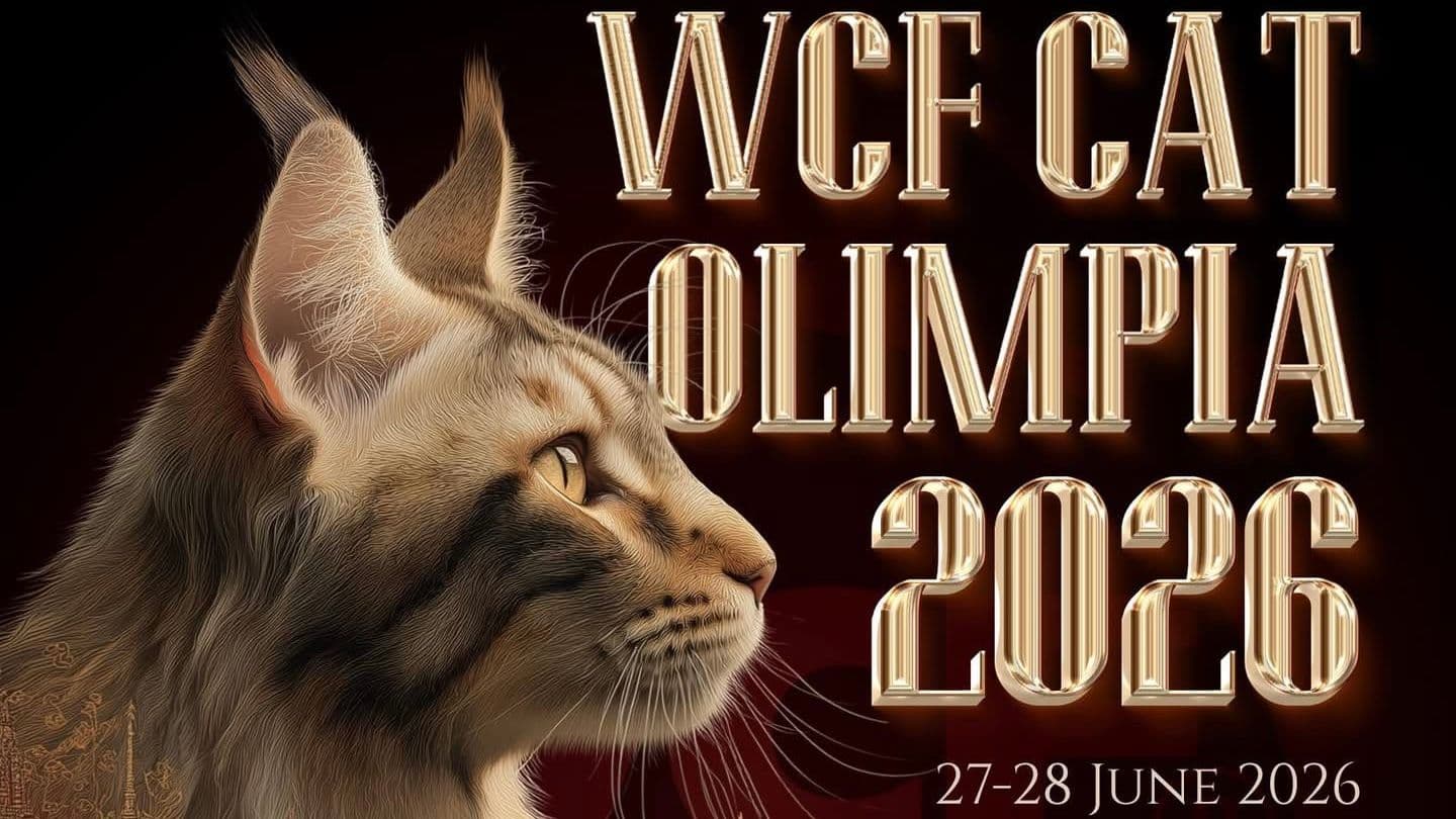 WCF CAT OLIMPIA 2026