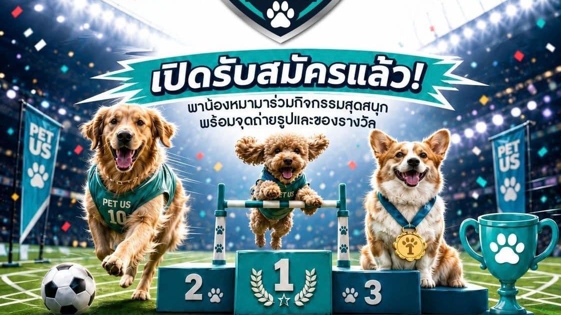 PET US PAW CUP 2026