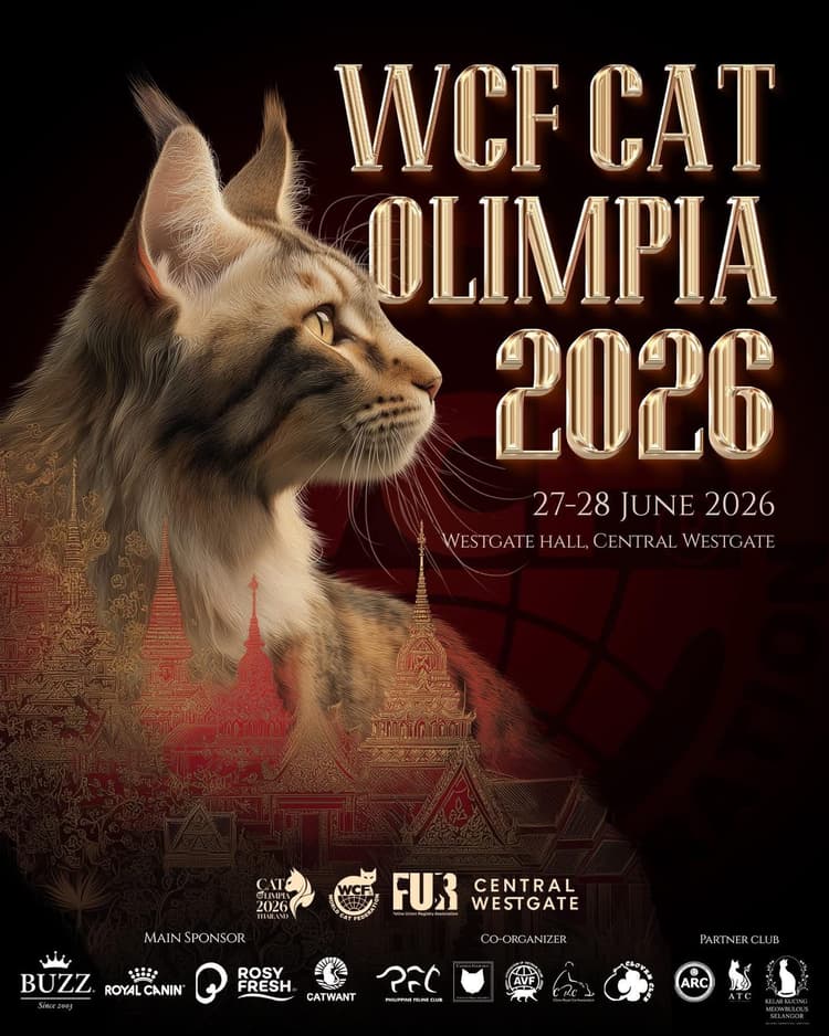 WCF CAT OLIMPIA 2026