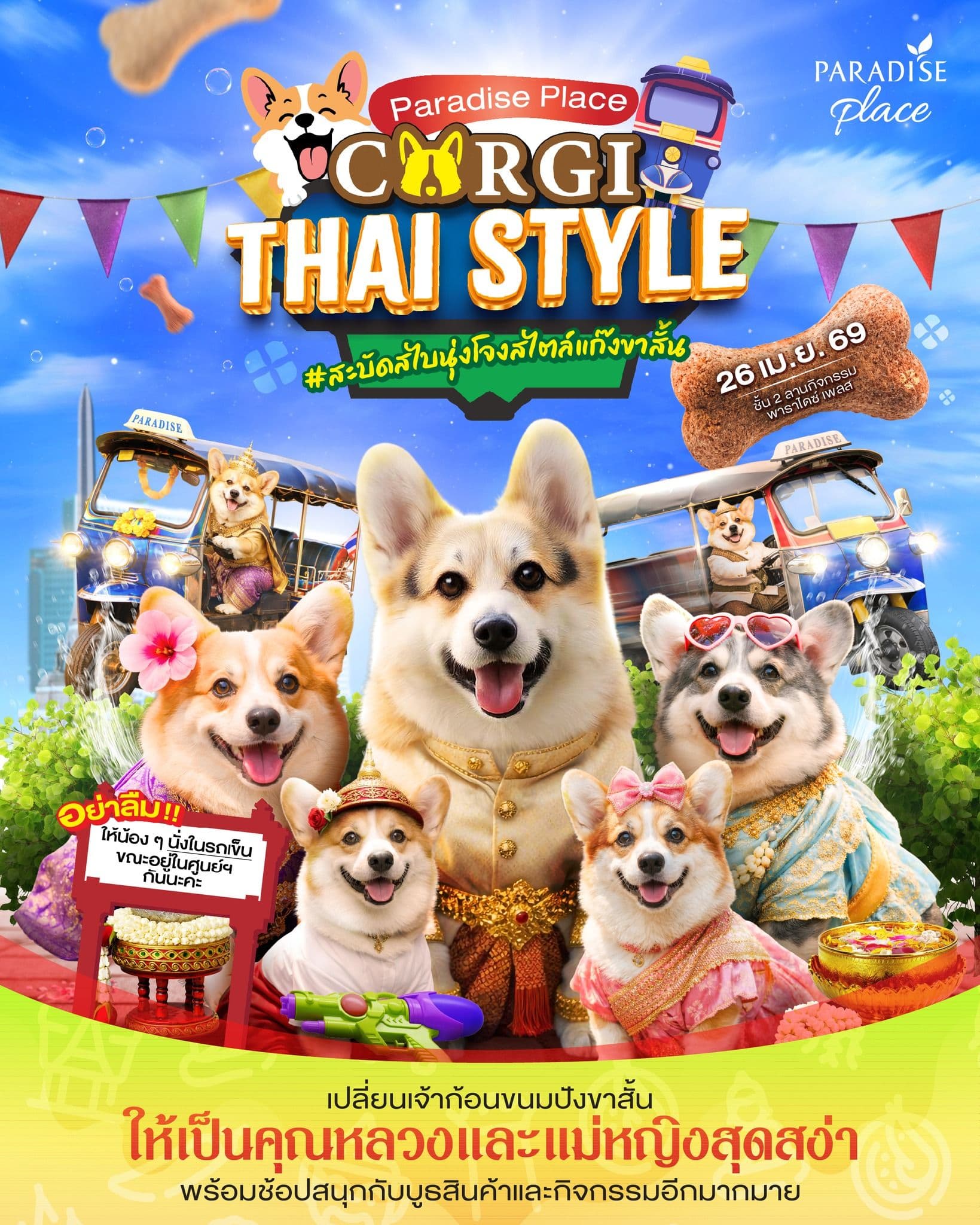 Corgi Thai Style