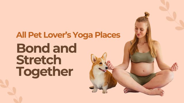 Pet Lover’s Yoga & Pilates: Bond and Stretch Together 🐾