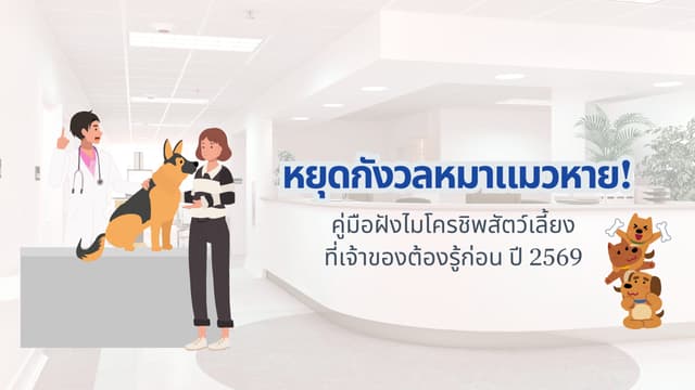 หยุดกังวลหมาแมวหาย! คู่มือ ฝังไมโครชิพ สัตว์เลี้ยง ที่เจ้าของต้องรู้ก่อน ปี 2569