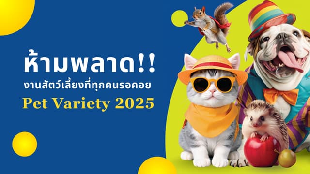 🐾 ห้ามพลาด! Pet Variety 2025 งานสัตว์เลี้ยงที่ทุกคนรอคอย