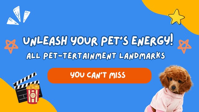 Unleash Your Pet’s Energy! The Best Pet-tertainment Destinations You Can’t Miss