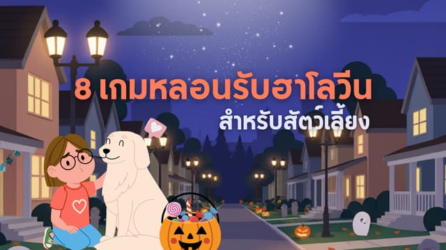 8 เกมหลอนรับฮาโลวีน สำหรับสัตว์เลี้ยง 🐾🎃