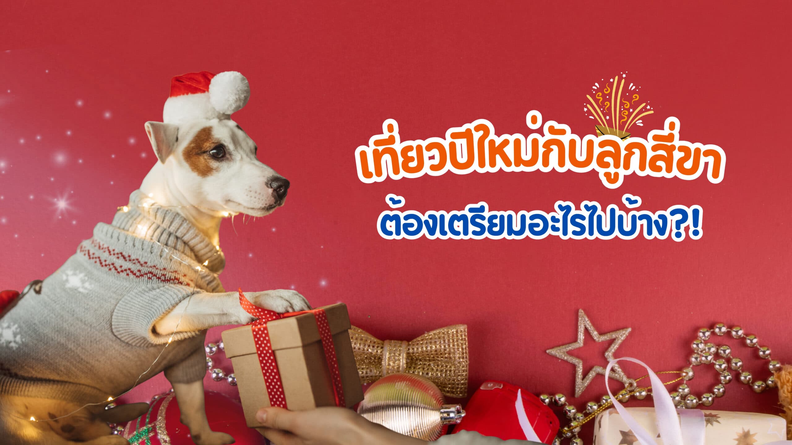 เช็กลิสต์ก่อนเที่ยวปีใหม่ ฉบับพ่อแม่ขนฟู