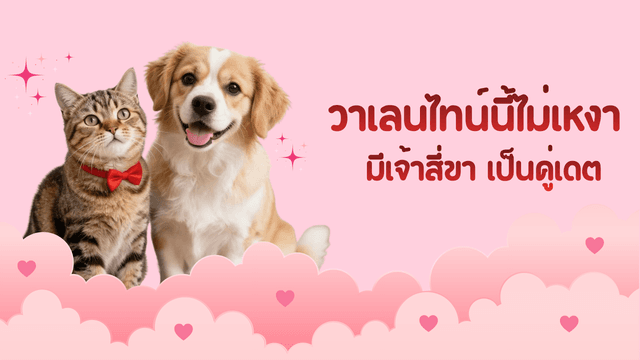 วาเลนไทน์นี้ไม่เหงามีเจ้าสี่ขา เป็นคู่เดต
