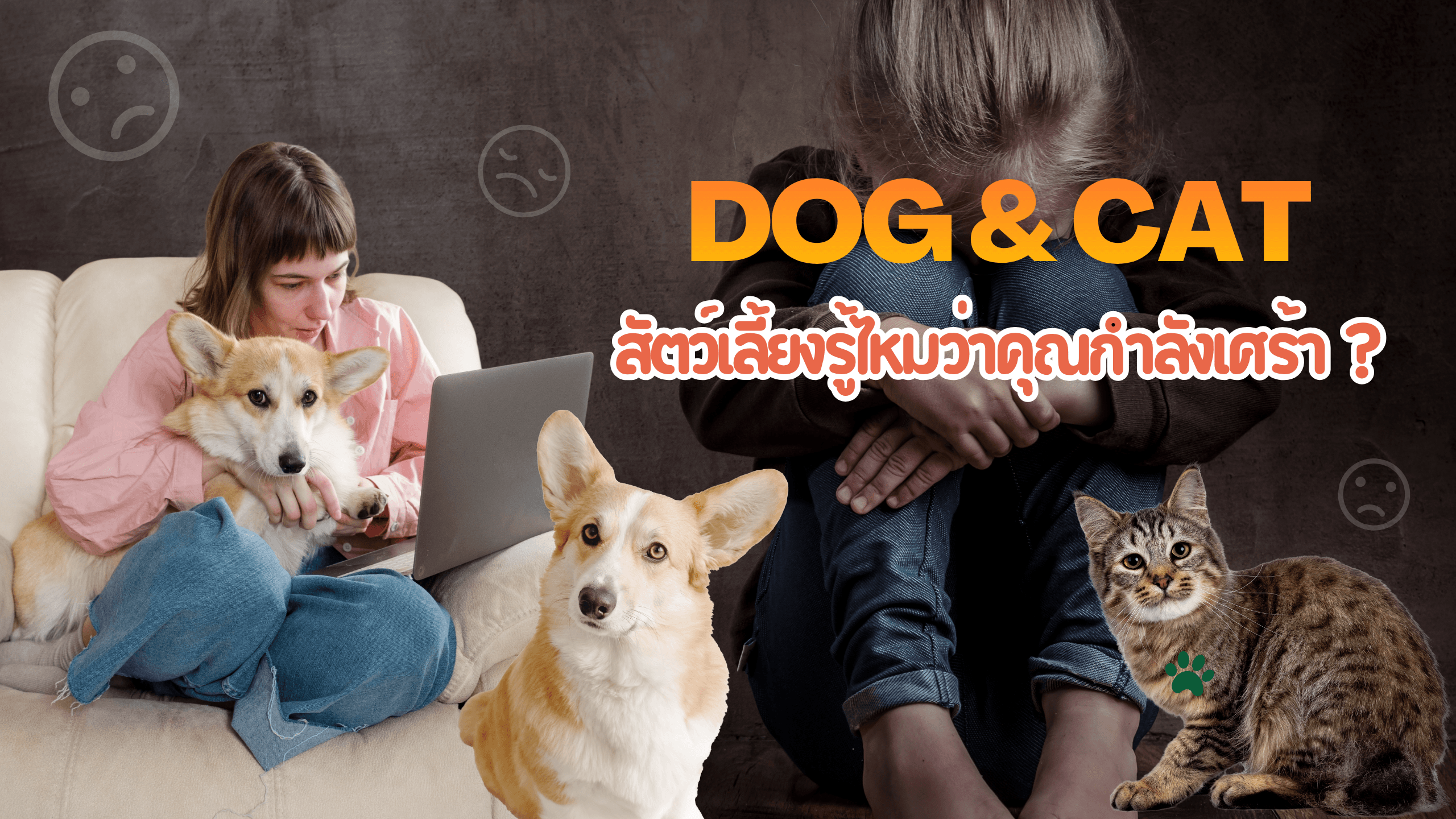 สัตว์เลี้ยงรู้ไหมว่าคุณกำลังเศร้า?