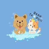 Baan Tao Puii pet grooming and spa