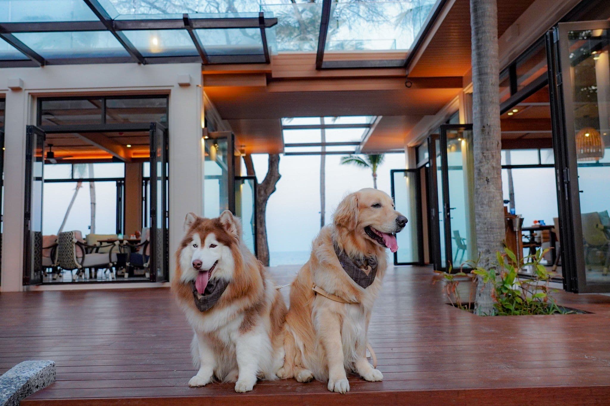 Anantara Hua Hin Resort