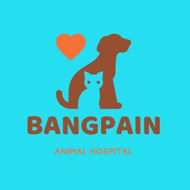 ร.พ.สัตว์บางปะอิน