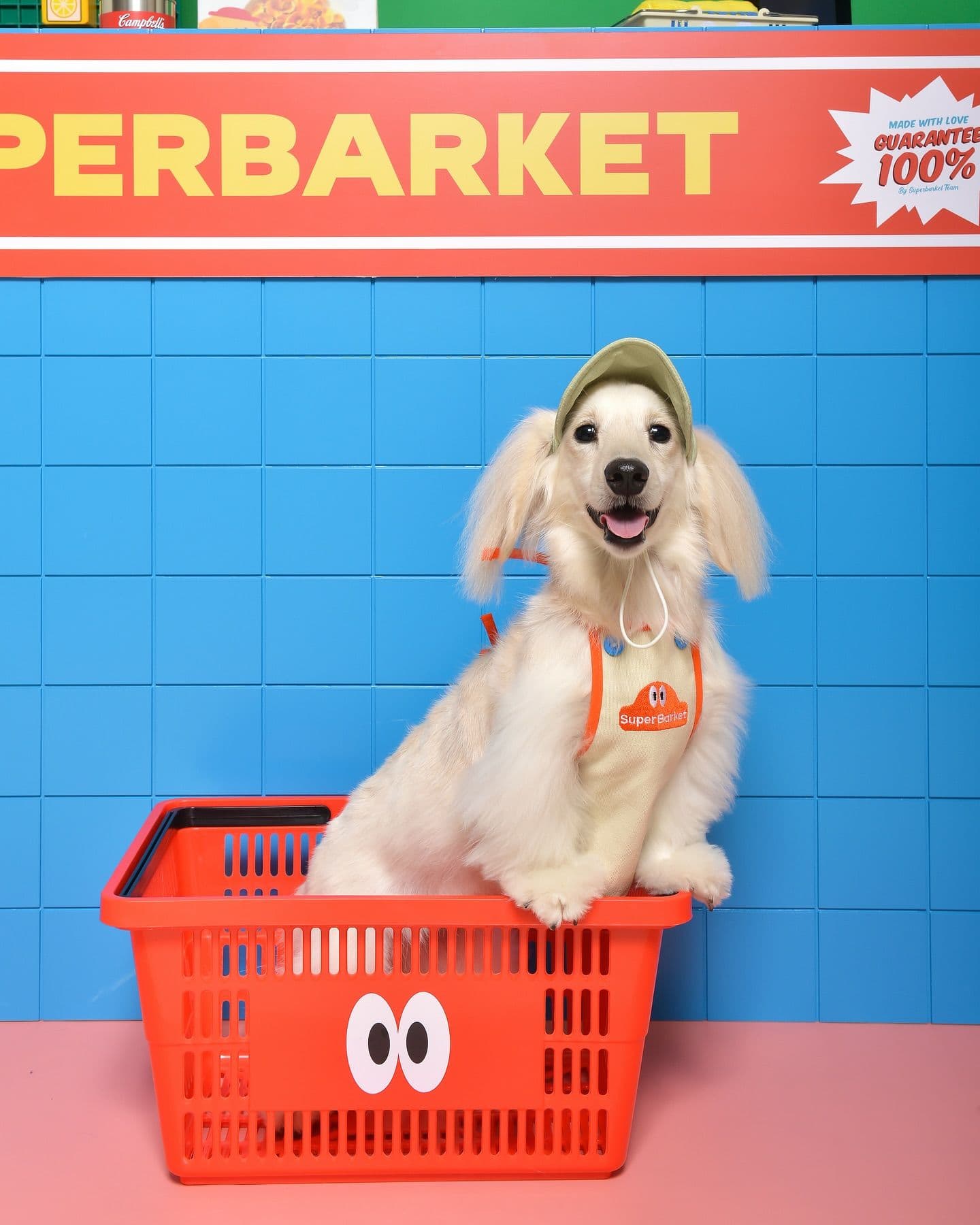 Superbarket Store by doggu pets image 3