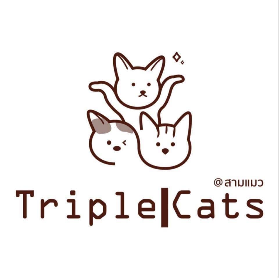 Triple Cats Cafe&Cat Hostel