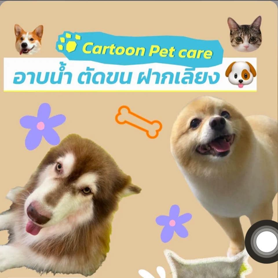 Cartoon pet care
