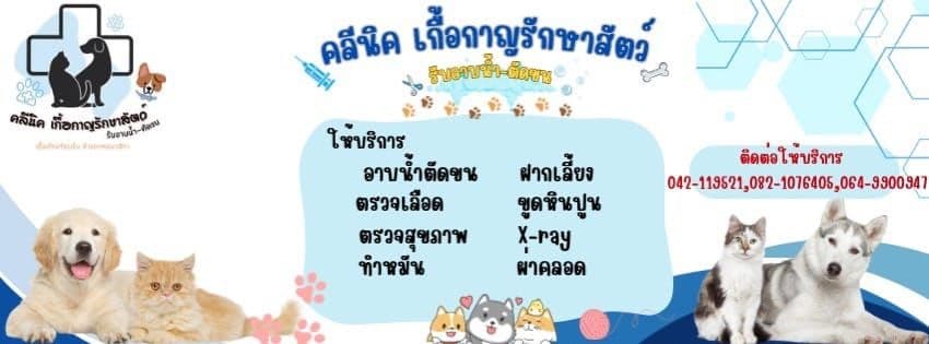 เกื้อกาญรักษาสัตว์ image 2