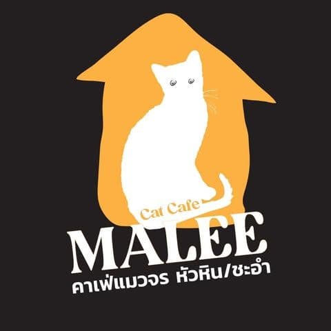 Malee Cat Cafe & Pet Store