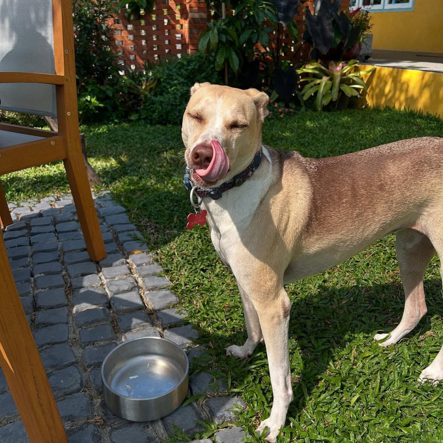 Butterhead Farm & Cafe