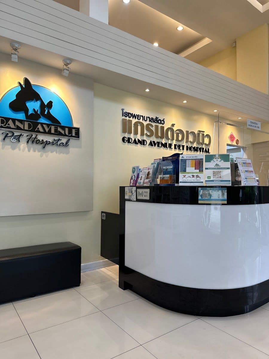 Grand Avenue Pet Hospital