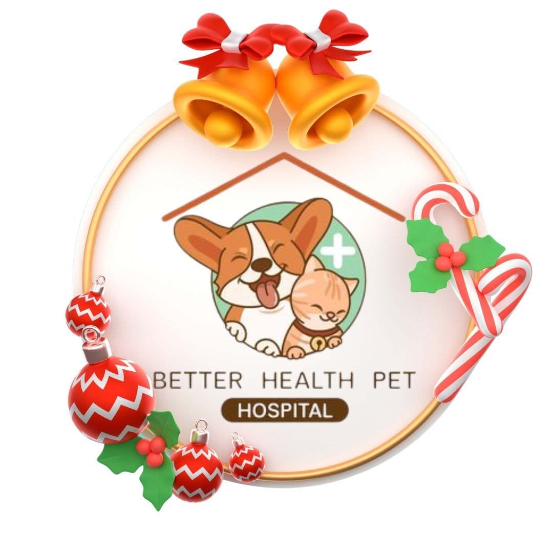 โรงพยาบาลสัตว์เบทเทอร์เฮลธ์