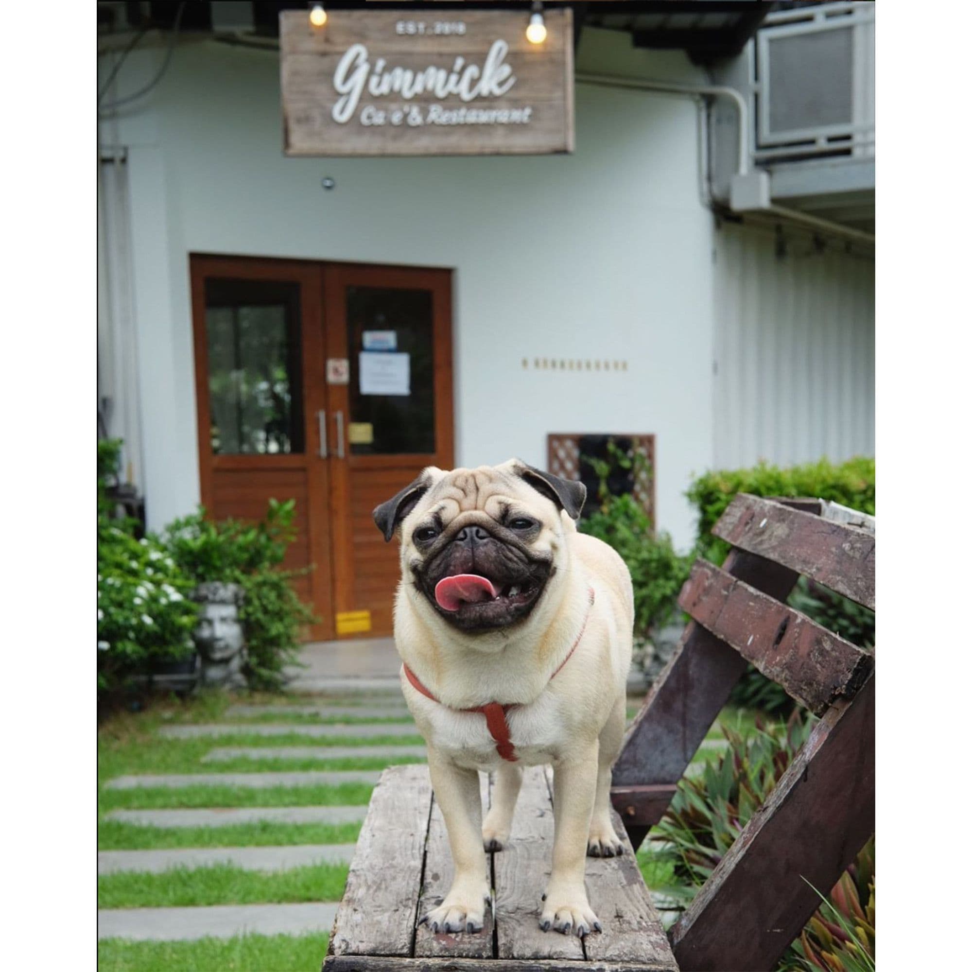 Gimmick Cafe & Restaurant image 2