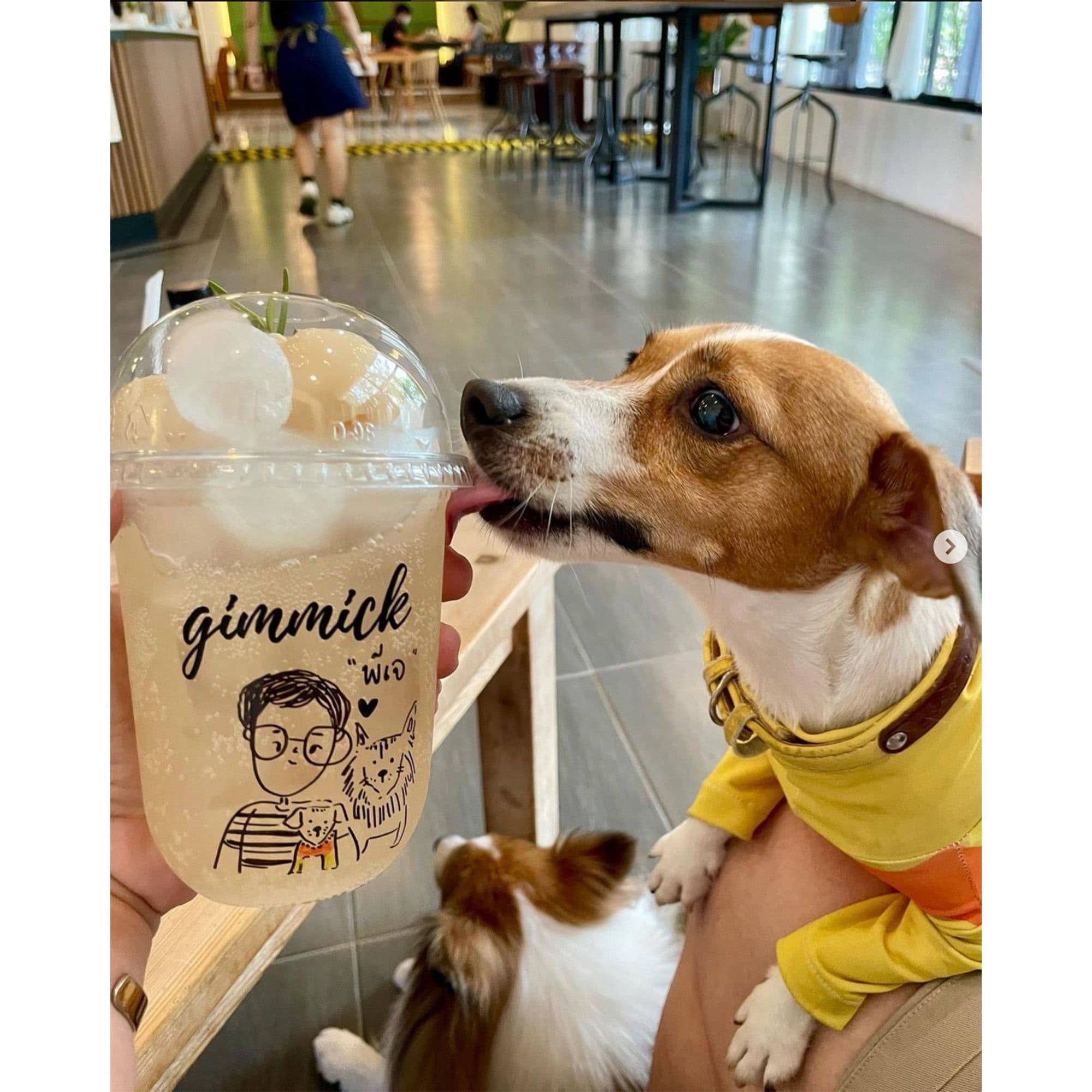 Gimmick Cafe & Restaurant image 3