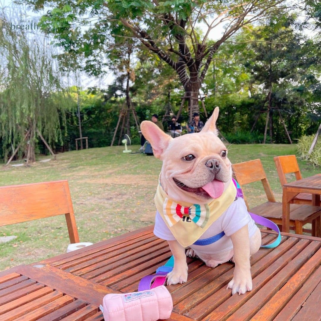 Take a Breath - café & eatery