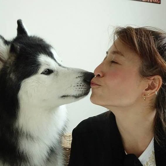 Jojo House Dog Master