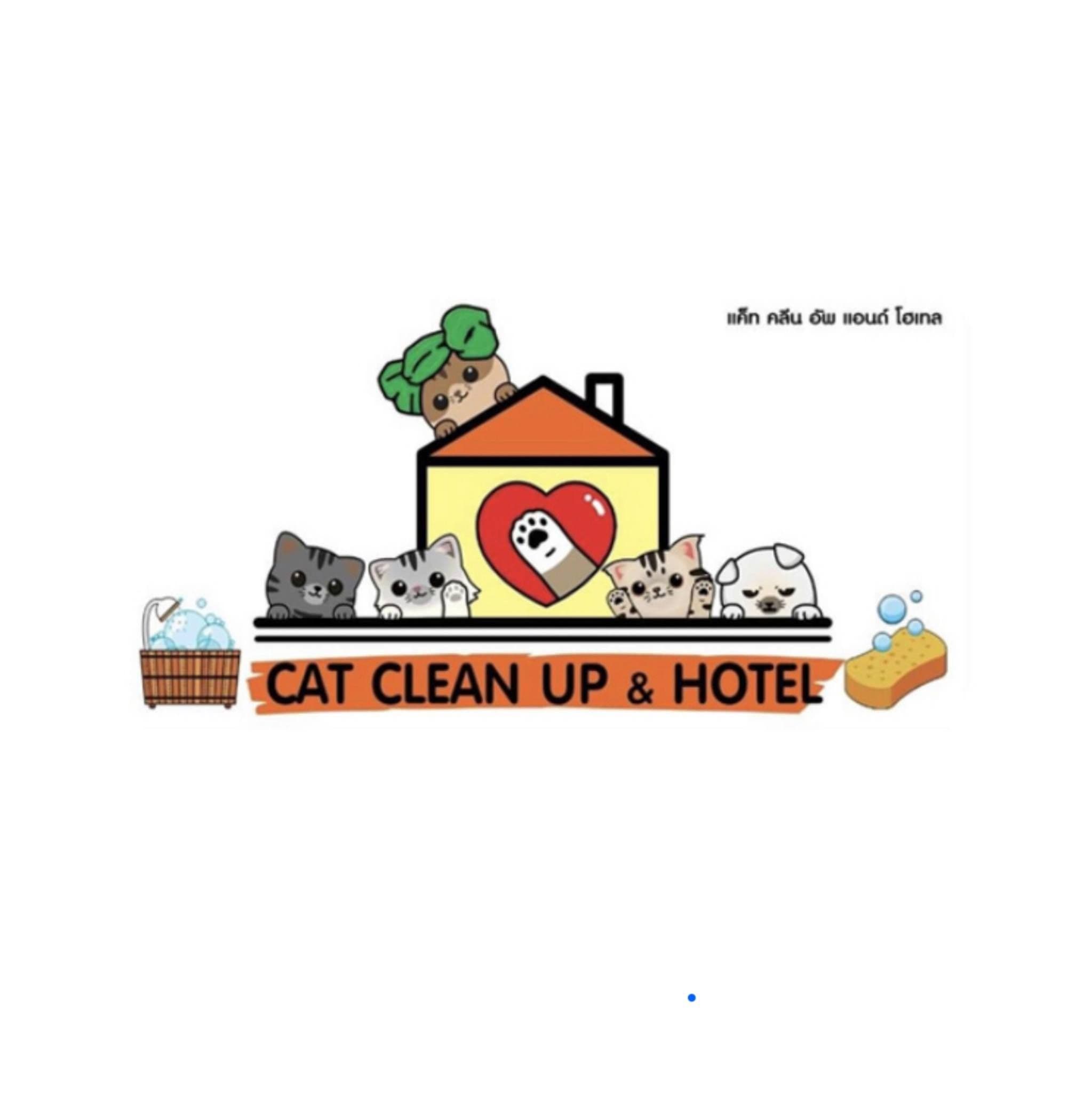 Cat Clean Up & Hotel