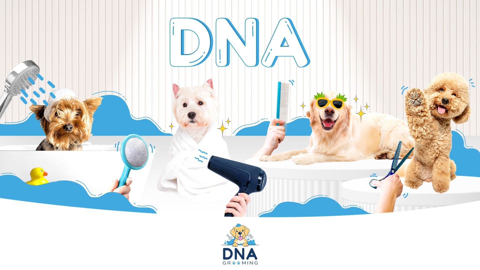 DNA grooming