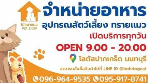 โบ้หมาแมว