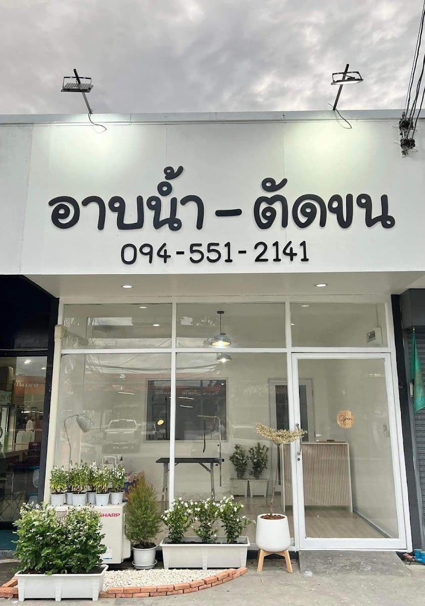 Always Grooming and Cat Hotel