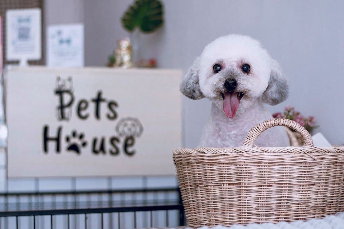 Pets House