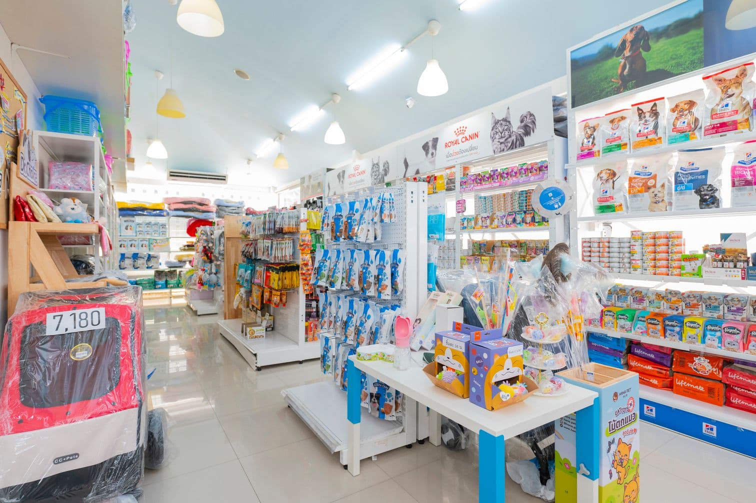 Thonglor Pet Hospital Ramintra image 3