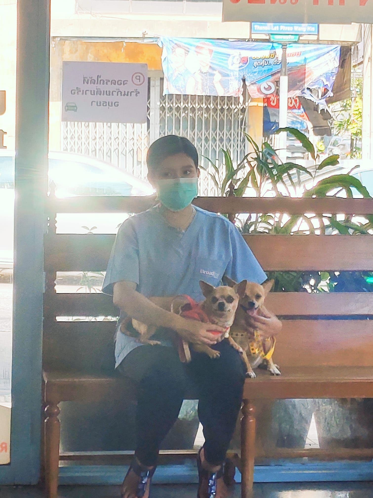โรงพยาบาลสัตว์โชคชัย4 image 2