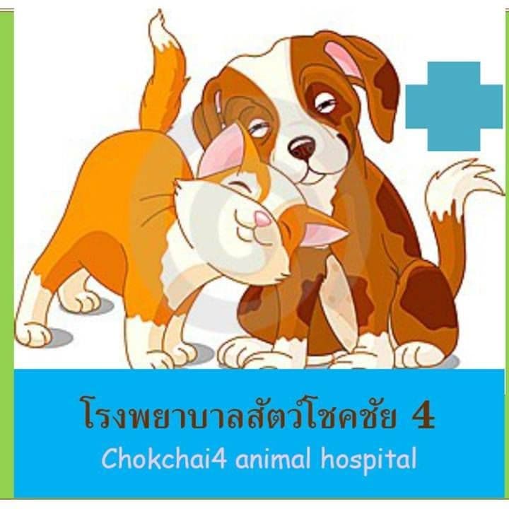 โรงพยาบาลสัตว์โชคชัย4