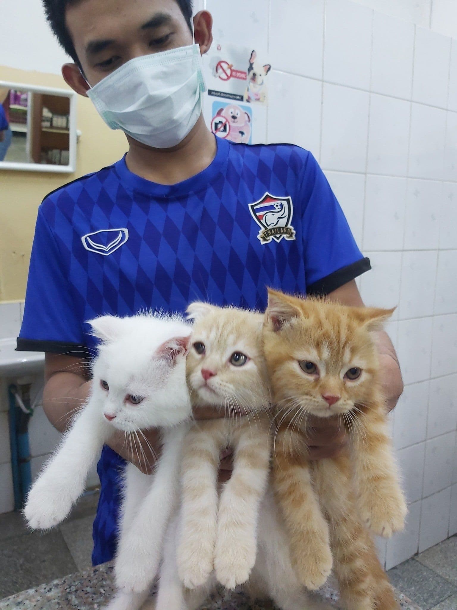 โรงพยาบาลสัตว์โชคชัย4 image 3