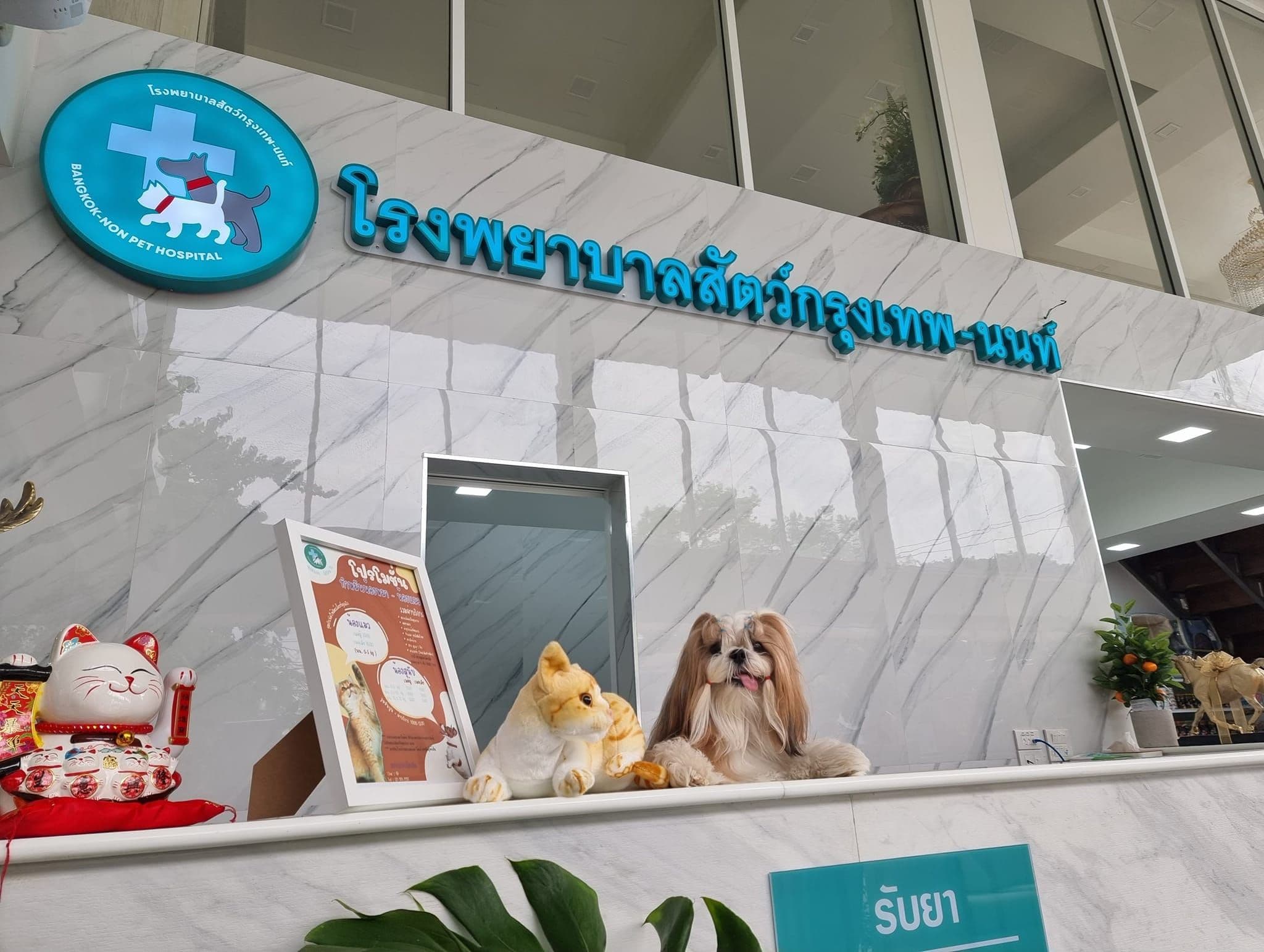 โรงพยาบาลสัตว์ กรุงเทพ-นนท์