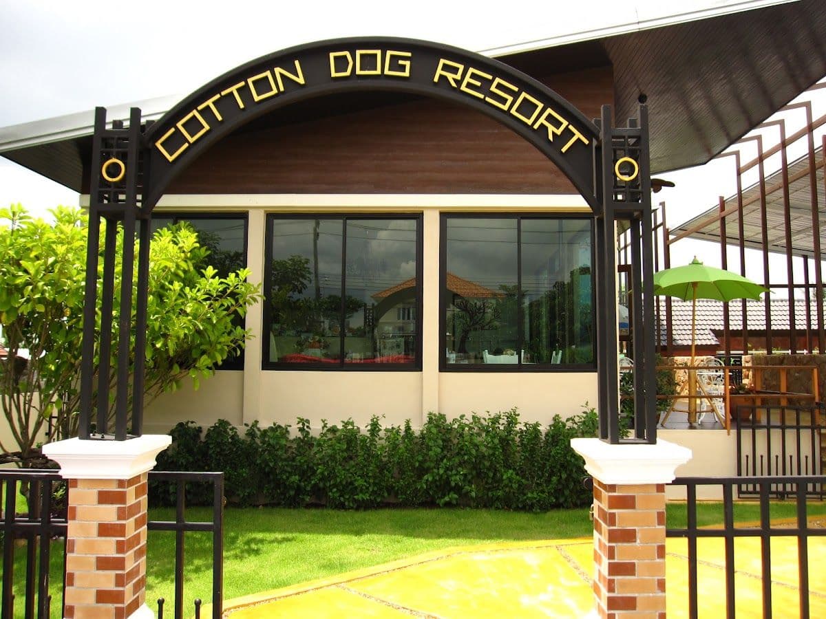 Cotton Dog Resort and Care