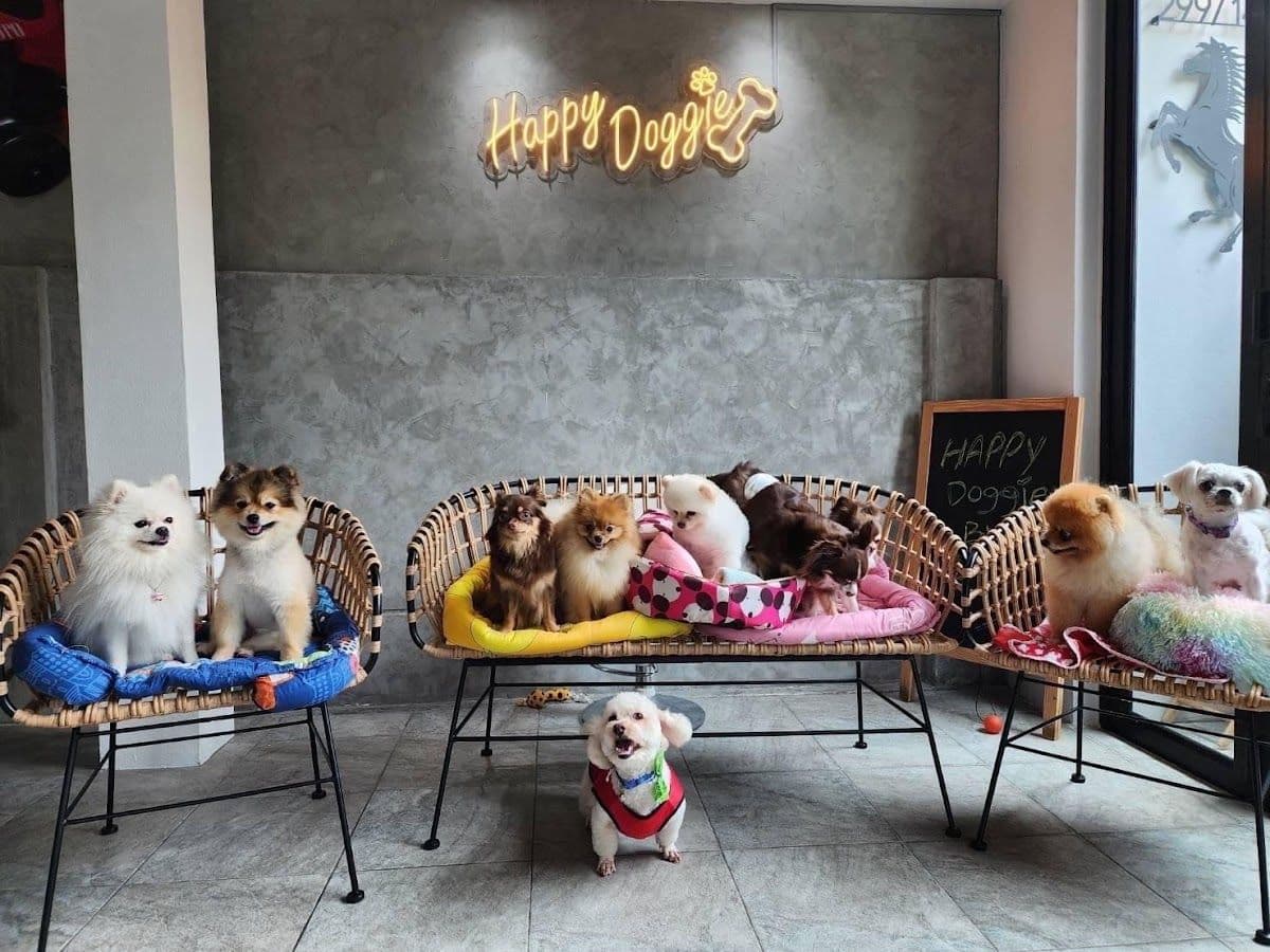 Happy doggie by meiji